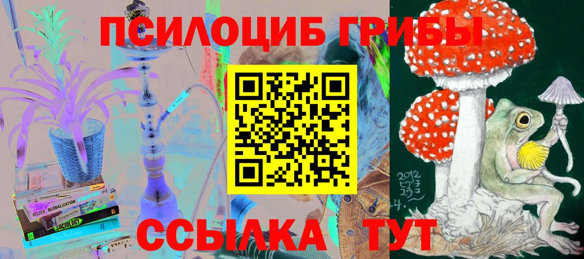 Псилоцибиновые грибы мицелий Горячий Ключ